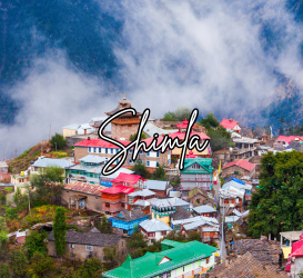 Shimla