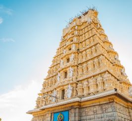 Mysore & Ooty Getaway